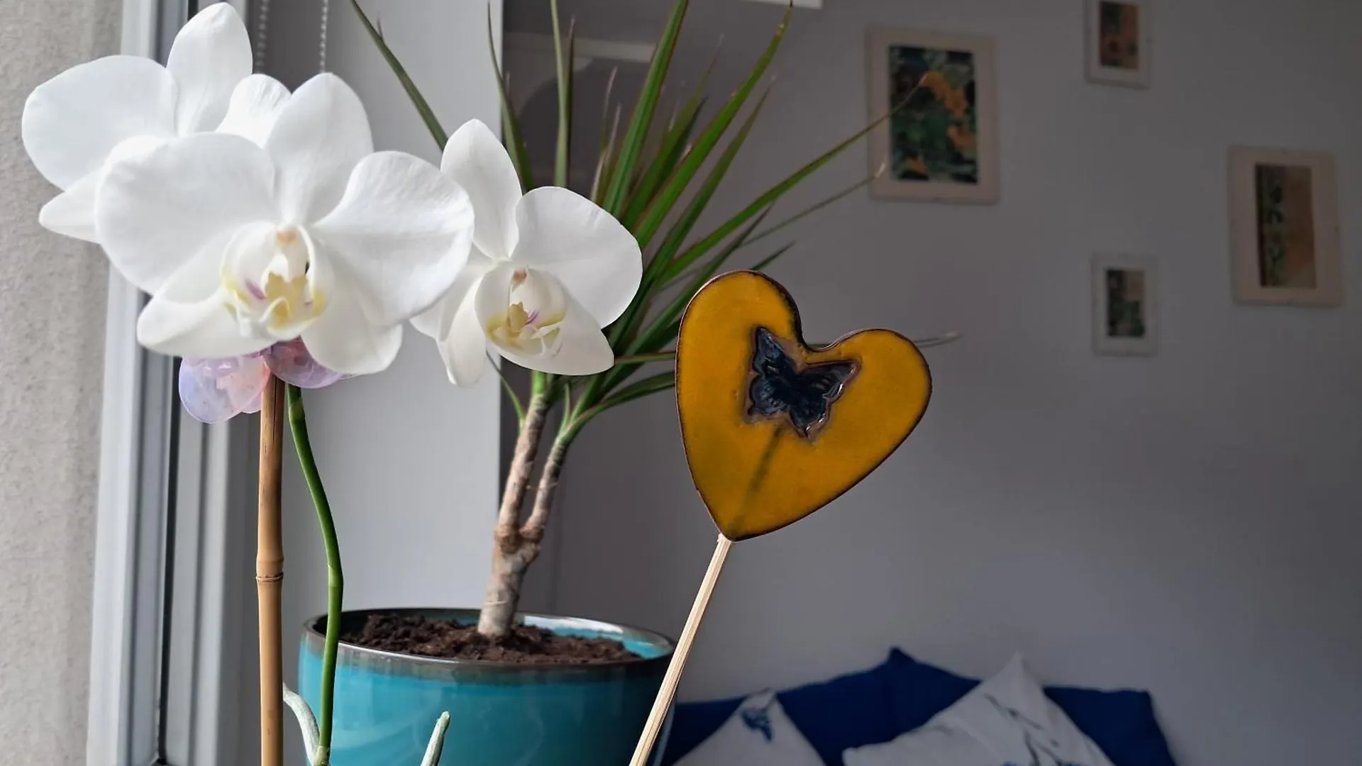 Apartment Studio Yellow Dragon Krakow